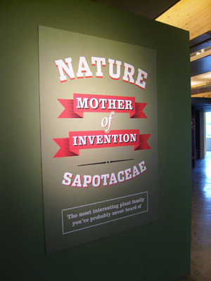 sapotaceae exhibition