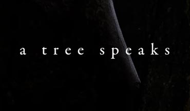 link to film - A tree speaks