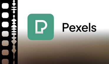 link to Pexels stock website