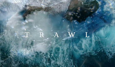 link to film - TRAWL