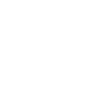 Steve Smart logo